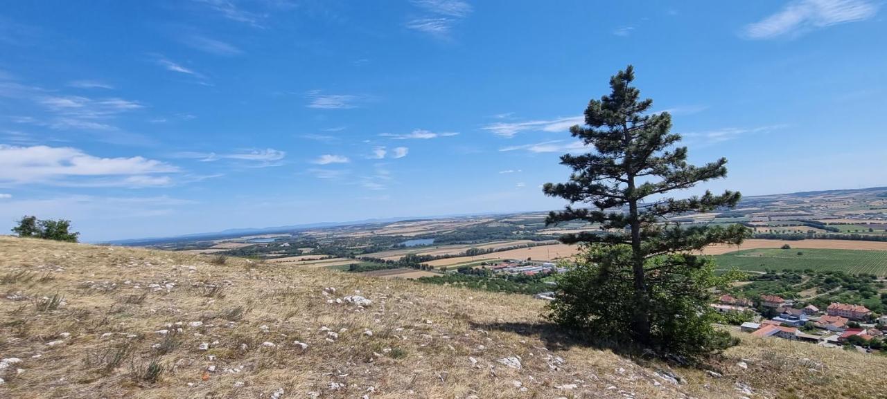 Apartmán Viktorie Mikulov Esterno foto